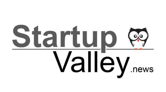 Startup Valley Kauz Eule